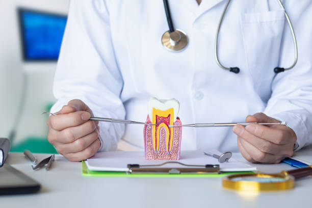  Pender, NE Emergency Dentist Pros